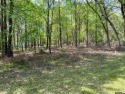 Simply beautiful lots with towering trees.  Level site, perfect, Texas