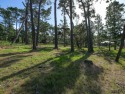  Ad# 5911701 golf course property for sale on GolfHomes.com