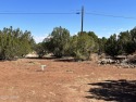 This lot is ready to go all utilizes are in except Electric it for sale in Show Low Arizona Navajo County County on GolfHomes.com