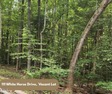 Beautiful 0.49-acre wooded lot located in the gated Lake Royale, North Carolina