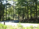 Nice .38 acre building lot on 11th Fairway of Minnesott Beach for sale in Arapahoe North Carolina Pamlico County County on GolfHomes.com