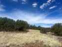 28-acre lot nestled in Concho Valley, just a stone's throw away for sale in Concho Arizona Apache County County on GolfHomes.com