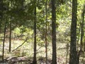 Once you turn on Easy St., there will be 56.19 acres on your L for sale in Drasco Arkansas Cleburne County County on GolfHomes.com