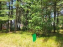 Beautiful buildable wooded lot with mature trees and within for sale in Nekoosa Wisconsin Adams County County on GolfHomes.com