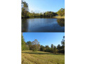 6.03 ACRES, Residential BUILDING SITE with large POND and a for sale in Arkadelphia Arkansas Clark County County on GolfHomes.com