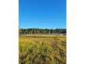 This 6.14 acre lakefront lot is located at the end of Lejeune Rd for sale in Waycross Georgia Ware County County on GolfHomes.com