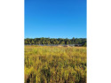 This 3.47 acre lot located on Alton Circle has lakefront access for sale in Waycross Georgia Ware County County on GolfHomes.com