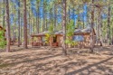 Adorable, remodeled, single level cabin in Pinetop Lakes Country for sale in Pinetop Arizona Navajo County County on GolfHomes.com