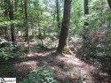 Large lot right on the fairway at The Rock at Jocassee Golf for sale in Pickens South Carolina Pickens County County on GolfHomes.com