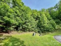 Looking for an oversized private lot to build your dream home? for sale in Hendersonville North Carolina Henderson County County on GolfHomes.com