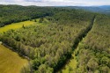 Bring your imagination!  10 acres of undisturbed wooded land for sale in Randolph Vermont Orange County County on GolfHomes.com