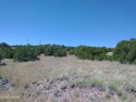 Beautiful 1.04 acre lot located on Navajo Dr. in Concho Valley for sale in Concho Arizona Apache County County on GolfHomes.com