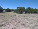 1.04 acre lot located in nice residential area of Concho Valley for sale in Concho Arizona Apache County County on GolfHomes.com