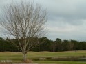  Ad# 5476333 golf course property for sale on GolfHomes.com