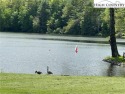  Ad# 6051511 golf course property for sale on GolfHomes.com