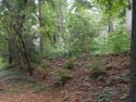 This .25 acre lot is located in the highly desirable Beverly for sale in Asheville North Carolina Buncombe County County on GolfHomes.com