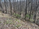 Ready to build your home, Look no further than this nice lot for sale in Unicoi Tennessee Unicoi County County on GolfHomes.com