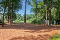  Ad# 6419924 golf course property for sale on GolfHomes.com