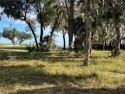 What a wonderful location - the beautiful fifth hole with the for sale in Daufuskie Island South Carolina Beaufort County County on GolfHomes.com