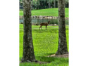  Ad# 6476986 golf course property for sale on GolfHomes.com