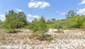 Buildable residential lot in the well-established Placid Lakes for sale in Lake Placid Florida Highlands County County on GolfHomes.com