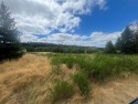 Discover a double building lot on the stunning Anderson Island for sale in Anderson Island Washington Pierce County County on GolfHomes.com