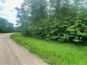 Plenty of wildlife, mature trees, and privacy galore on this for sale in Miltona Minnesota Douglas County County on GolfHomes.com