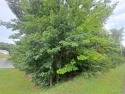 This is a beautiful lakefront lot on Winter Lake in the Raintree for sale in Unincorporated Missouri Jefferson County County on GolfHomes.com