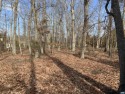 One of the Last remaining Lots in THE ACRES.  Enjoy this for sale in Palmyra Virginia Fluvanna County County on GolfHomes.com