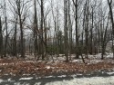 Unique building lot in Tanglwood Lakes, offering seasonal for sale in Greentown Pennsylvania Pike County County on GolfHomes.com