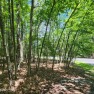 MOTIVATED SELLERS Ready to build? Look no further. This lot is for sale in Greentown Pennsylvania Pike County County on GolfHomes.com