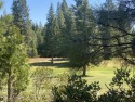 Prime Golf Course Lot on the 12th Fairway - Bailey Creek ? for sale in Lake Almanor California Plumas County County on GolfHomes.com