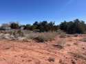Rare find! A full half acre close to town! This lot has for sale in Snowflake Arizona Navajo County County on GolfHomes.com