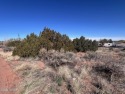 Rare Opportunity!  A full half acre close to town! This lot has for sale in Snowflake Arizona Navajo County County on GolfHomes.com