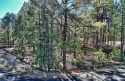 This level lot is Located in the heart of the Pinetop Country for sale in Pinetop Arizona Navajo County County on GolfHomes.com