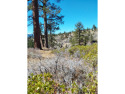 Take My Word For It. This IS a home site like non-other in Tahoe for sale in Portola California Plumas County County on GolfHomes.com