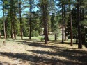  Ad# 6095867 golf course property for sale on GolfHomes.com