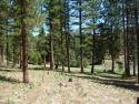  Ad# 6095867 golf course property for sale on GolfHomes.com