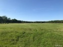 BUILD YOUR BEAUTIFUL DREAM HOME ON A PERFECTLY LOCATED 1.36 ACRE for sale in Goodells Michigan St. Clair County County on GolfHomes.com