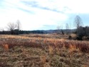 Build your dream home on over 5 acres of mostly cleared land for sale in Brookneal Virginia Campbell County County on GolfHomes.com