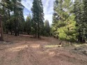 Beautiful 1.35 acre lot located on a quiet cul-de-sac in the for sale in Lake Almanor West California Plumas County County on GolfHomes.com