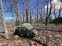 Perfect location to build your dream home on the desirable for sale in Wintergreen Virginia Nelson County County on GolfHomes.com
