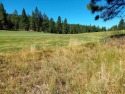  Ad# 6455098 golf course property for sale on GolfHomes.com