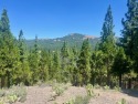 Discover the ideal setting for your dream home at this premier for sale in Portola California Plumas County County on GolfHomes.com
