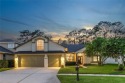 Enjoy CAPTIVATING views from this Luxury POOL Residence with for sale in Tampa Florida Hillsborough County County on GolfHomes.com