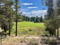 CATCH IT IF YOU CAN... This stunning lot on FOX RUN at NAKOMA! for sale in Portola California Plumas County County on GolfHomes.com