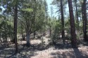 Best priced lot (per size) behind the gates in Torreon!  This for sale in Show Low Arizona Navajo County County on GolfHomes.com