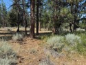 Rare, side by side, golf course access lots offered at a for sale in Weed California Siskiyou County County on GolfHomes.com