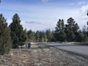  Ad# 5898016 golf course property for sale on GolfHomes.com
