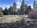  Ad# 5898016 golf course property for sale on GolfHomes.com
